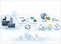 Ollama behind a reverse proxy with Caddy or Nginx for HTTPS streaming
