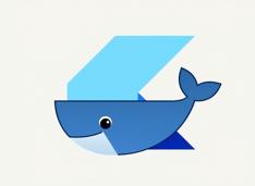 Dockerizzare un'app Flutter Web con costruzione Flutter dockerizzata e Nginx